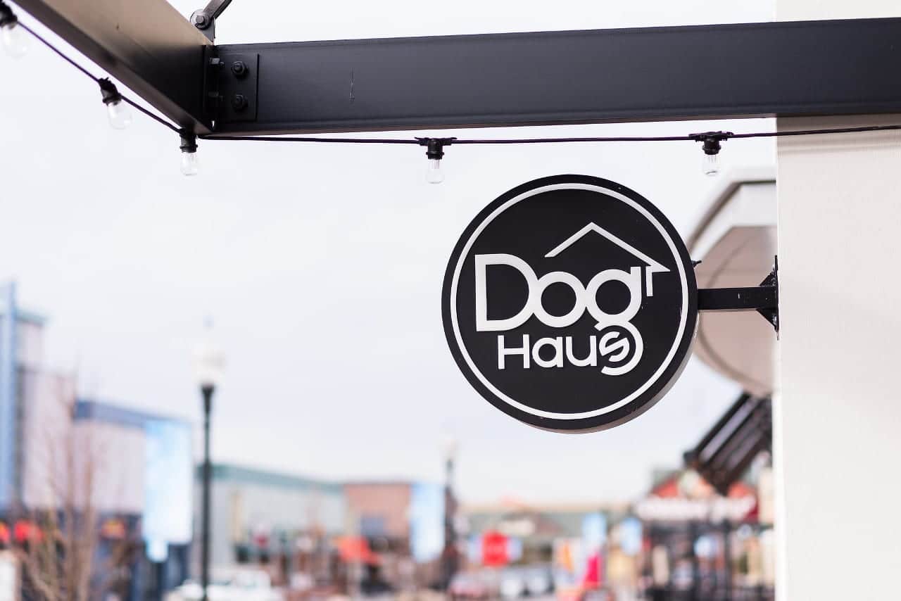 Dog Haus Biergarten