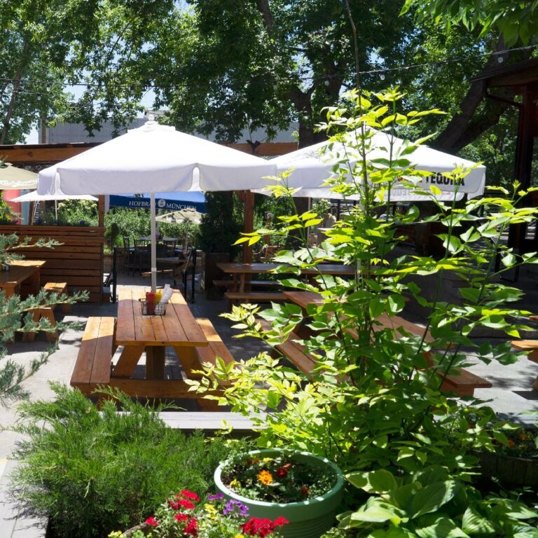 Best Denver Bars and Breweries with Outdoor Patios
