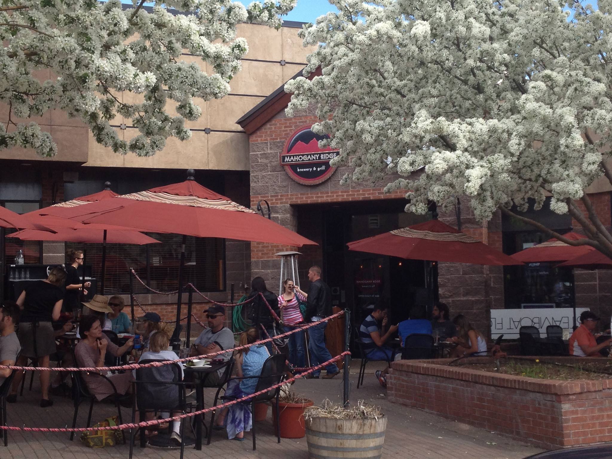 image of mahogany ridge brewery